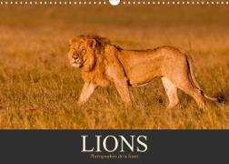 Lions ¿ Photographies de la faune (Calendrier mural 2023 DIN A3 horizontal)