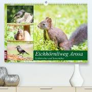 Eichhörnliweg Arosa - Eichhörnchen und Tannenhäher (Premium, hochwertiger DIN A2 Wandkalender 2023, Kunstdruck in Hochglanz)