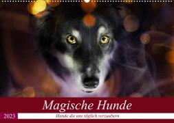 Magische Hunde - Hunde die uns täglich verzaubern (Wandkalender 2023 DIN A2 quer)