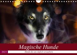 Magische Hunde - Hunde die uns täglich verzaubern (Wandkalender 2023 DIN A4 quer)