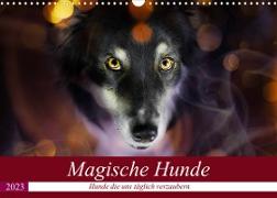Magische Hunde - Hunde die uns täglich verzaubern (Wandkalender 2023 DIN A3 quer)