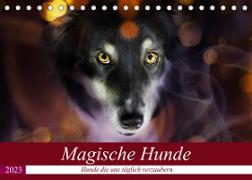 Magische Hunde - Hunde die uns täglich verzaubern (Tischkalender 2023 DIN A5 quer)