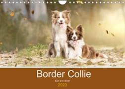 Border Collie - Bunt und clever! (Wandkalender 2023 DIN A4 quer)