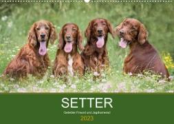 Setter - Geliebter Freund und Jagdkamerad (Wandkalender 2023 DIN A2 quer)