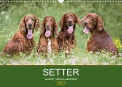Setter - Geliebter Freund und Jagdkamerad (Wandkalender 2023 DIN A3 quer)