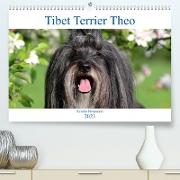 Tibet Terrier Theo (Premium, hochwertiger DIN A2 Wandkalender 2023, Kunstdruck in Hochglanz)