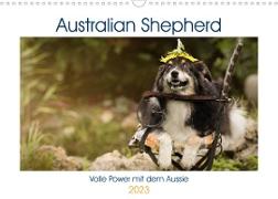 Australian Shepherd - volle Power mit dem Aussie (Wandkalender 2023 DIN A3 quer)