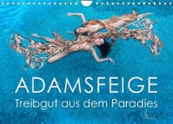 ADAMSFEIGE - Treibgut aus dem Paradies (Wandkalender 2023 DIN A4 quer)