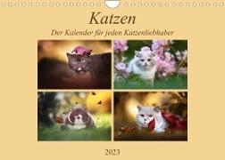 Katzen - Der Kalender für jeden Katzenliebhaber (Wandkalender 2023 DIN A4 quer)