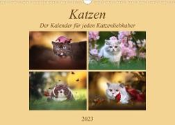 Katzen - Der Kalender für jeden Katzenliebhaber (Wandkalender 2023 DIN A3 quer)