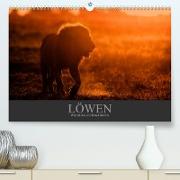 Löwen Wildlife-Fotografien (Premium, hochwertiger DIN A2 Wandkalender 2023, Kunstdruck in Hochglanz)