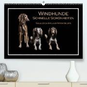 Windhunde - Schnelle Schönheiten (Premium, hochwertiger DIN A2 Wandkalender 2023, Kunstdruck in Hochglanz)