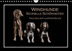 Windhunde - Schnelle Schönheiten (Wandkalender 2023 DIN A4 quer)