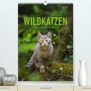 Wildkatzen - Kleine Samtpfoten des Waldes (Premium, hochwertiger DIN A2 Wandkalender 2023, Kunstdruck in Hochglanz)