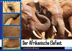 Der Afrikanische Elefant - Loxodonta africana (Wandkalender 2023 DIN A4 quer)
