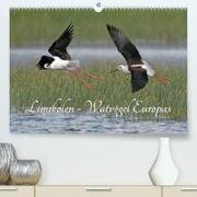 Limikolen - Watvögel Europas (Premium, hochwertiger DIN A2 Wandkalender 2023, Kunstdruck in Hochglanz)