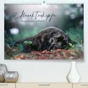 Charakterköpfe - Herzenshunde im Portrait (Premium, hochwertiger DIN A2 Wandkalender 2023, Kunstdruck in Hochglanz)