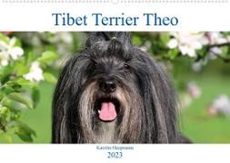 Tibet Terrier Theo (Wandkalender 2023 DIN A2 quer)