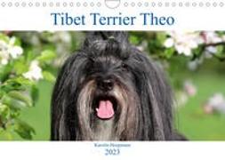 Tibet Terrier Theo (Wandkalender 2023 DIN A4 quer)