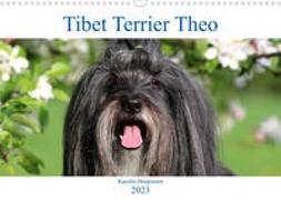 Tibet Terrier Theo (Wandkalender 2023 DIN A3 quer)