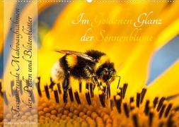 Im Goldenen Glanz der Sonnenblume (Wandkalender 2023 DIN A2 quer)