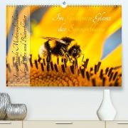 Im Goldenen Glanz der Sonnenblume (Premium, hochwertiger DIN A2 Wandkalender 2023, Kunstdruck in Hochglanz)