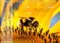Im Goldenen Glanz der Sonnenblume (Tischkalender 2023 DIN A5 quer)