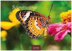 Schmetterlinge 2023 L 35x50cm