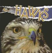 Hawks