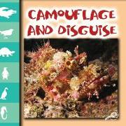 Camouflage and Disguise