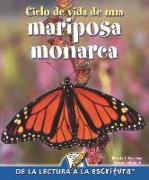 Ciclo de Vida de Una Mariposa Monarca: Life Cycle of a Monarch Butterfly