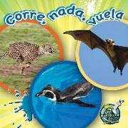 Corre, Nada, Vuela: Run, Swim, Fly