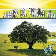 Nuestro Sol Produce Vida: Our Sun Brings Life