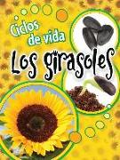 Ciclos de Vida Los Girasoles: Life Cycles: Sunflowers