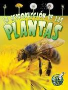 La Reproducción de Las Plantas: Reproduction in Plants