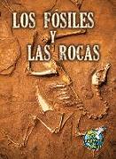 Los Fósiles Y Las Rocas: Fossils and Rocks