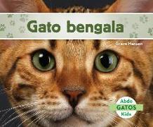 Gato Bengala (Bengal Cats) (Spanish Version)