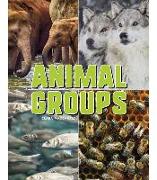 Animal Groups