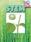 Stem