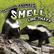 Why Do Animals Smell Like That?