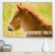 Wunderbare Fohlen (Premium, hochwertiger DIN A2 Wandkalender 2023, Kunstdruck in Hochglanz)