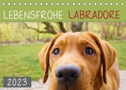 Lebensfrohe Labradore (Tischkalender 2023 DIN A5 quer)