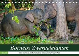 Borneos Zwergelefanten (Tischkalender 2023 DIN A5 quer)