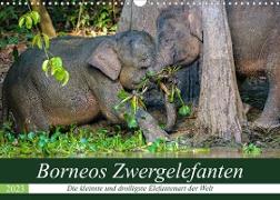 Borneos Zwergelefanten (Wandkalender 2023 DIN A3 quer)
