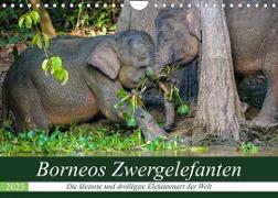 Borneos Zwergelefanten (Wandkalender 2023 DIN A4 quer)
