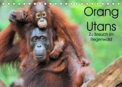 Orang Utans: Zu Besuch im Regenwald (Tischkalender 2023 DIN A5 quer)