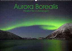 Aurora Borealis: Polarlichter in Norwegen (Wandkalender 2023 DIN A2 quer)