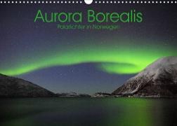 Aurora Borealis: Polarlichter in Norwegen (Wandkalender 2023 DIN A3 quer)