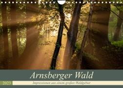 Arnsberger Wald (Wandkalender 2023 DIN A4 quer)