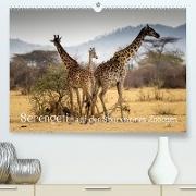 Serengeti - auf den Spuren eines Zoologen (Premium, hochwertiger DIN A2 Wandkalender 2023, Kunstdruck in Hochglanz)